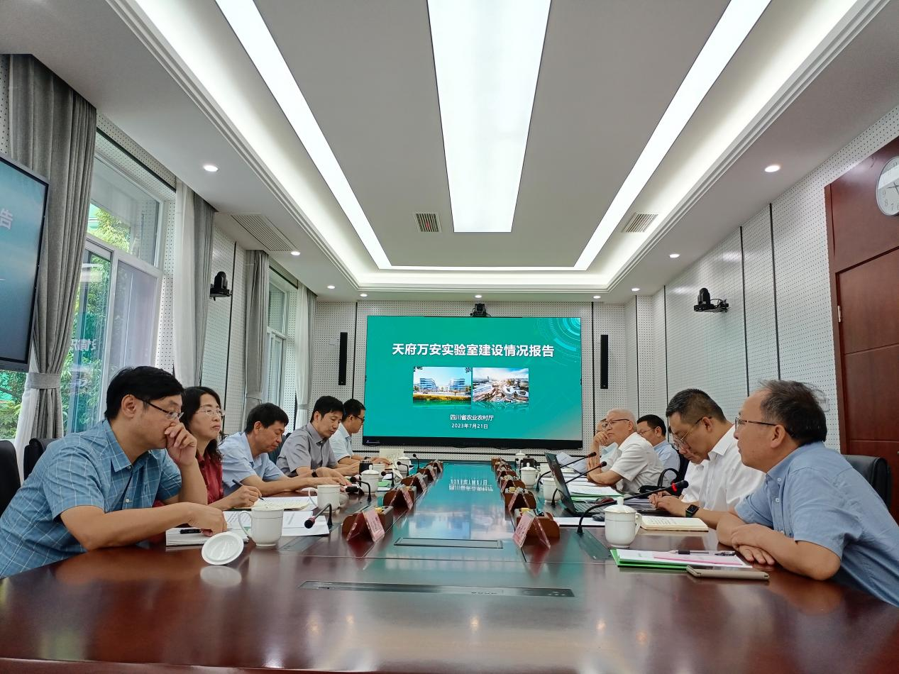 四川种业集团参与天府万安尝试室筹建工作汇报会.png