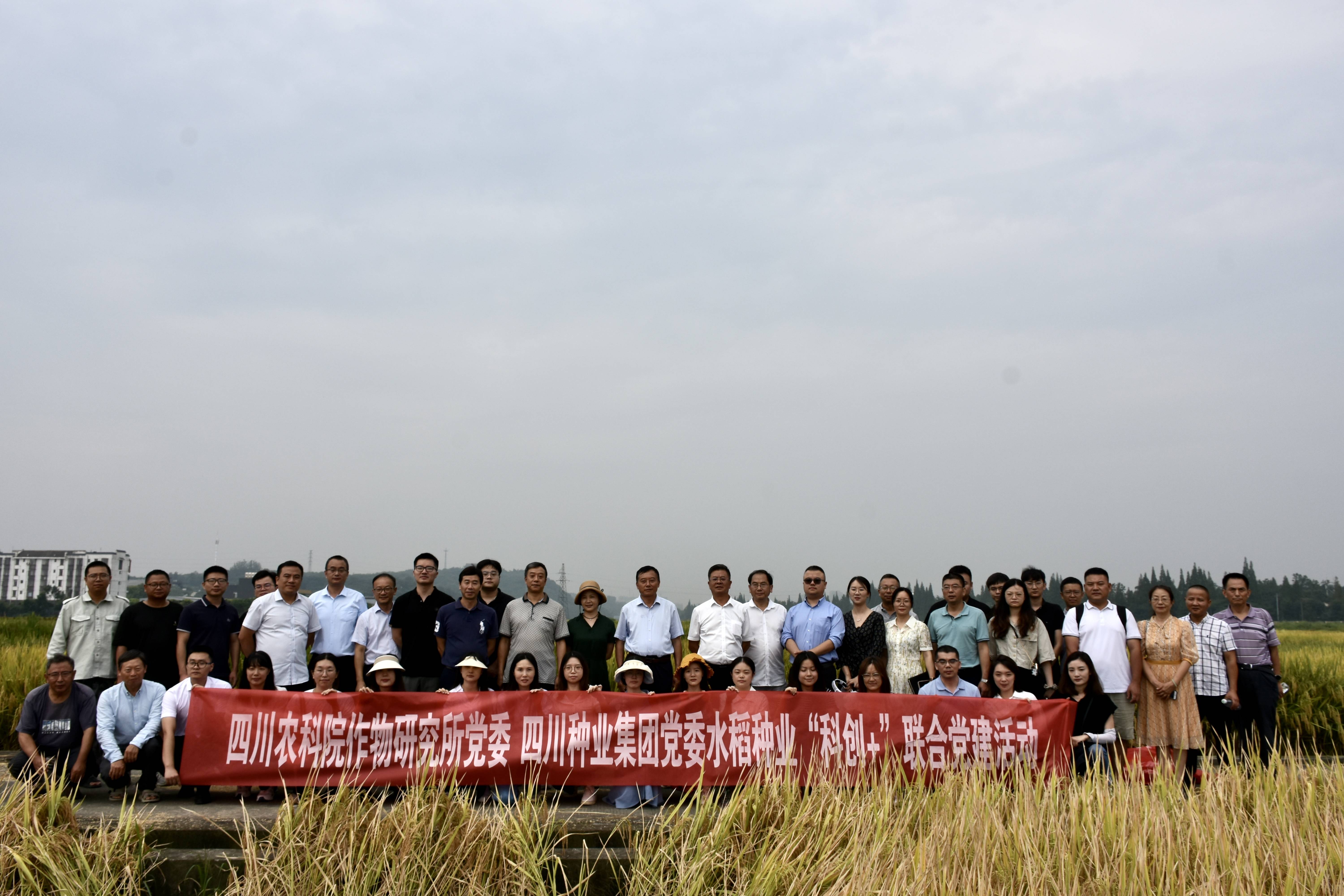 美彩国际 官网 省农科院作物钻研所 结合发展水稻种业“科创+”党建活动