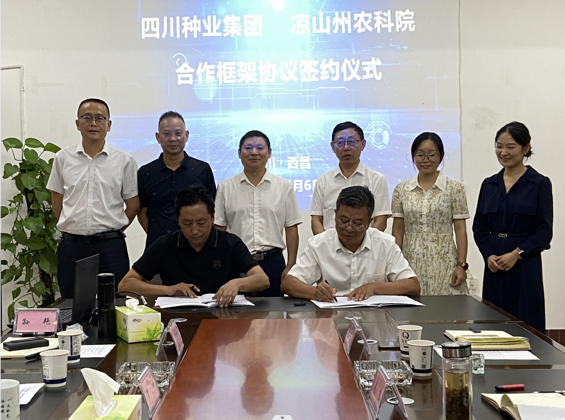 2023年9月6日美彩国际 官网与凉山州农科院进行科企合作签约典礼（张露丹拍摄）.png