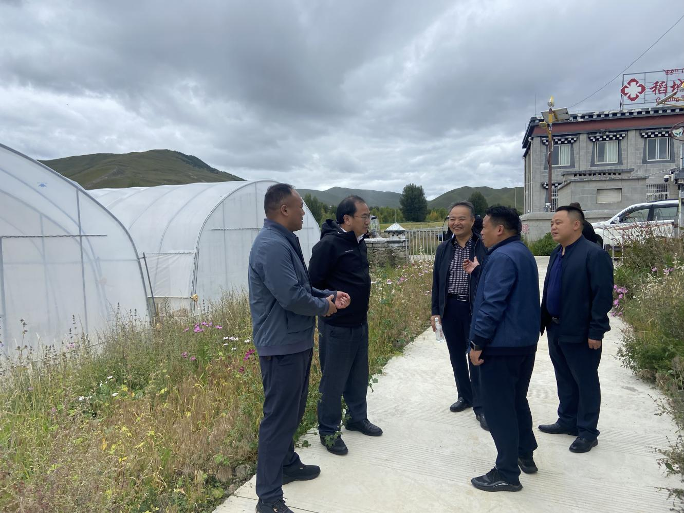 美彩国际 官网赴稻城县调查调研