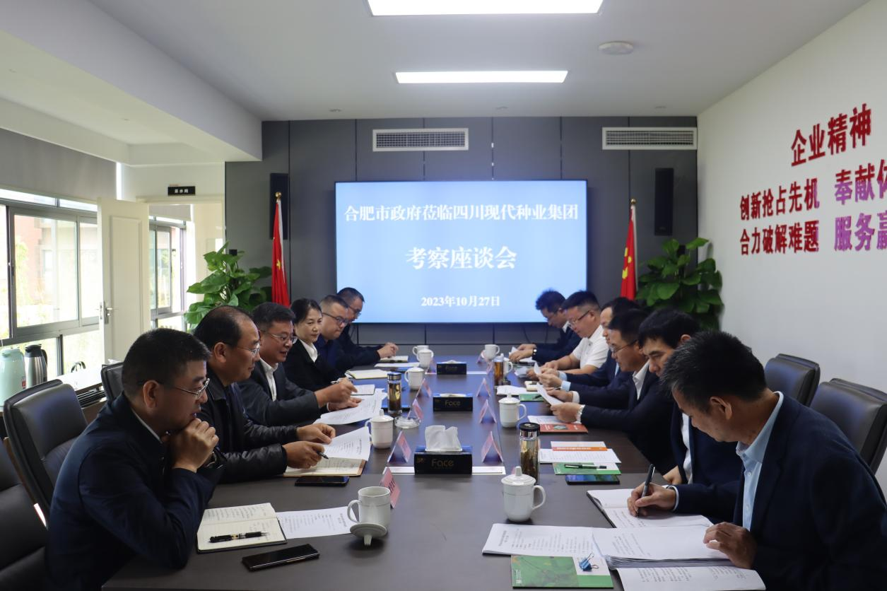 安徽省岳阳市当局光临美彩国际 官网调查调研.png