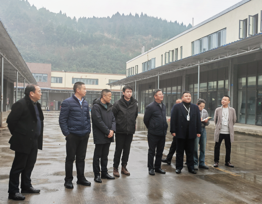 易飞、孙吓茁带队到南充片区调研领导工作