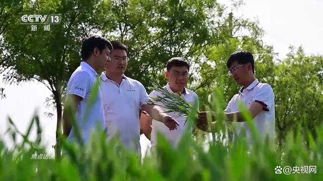 焦点访谈：挺膺担任 强国有我9.png