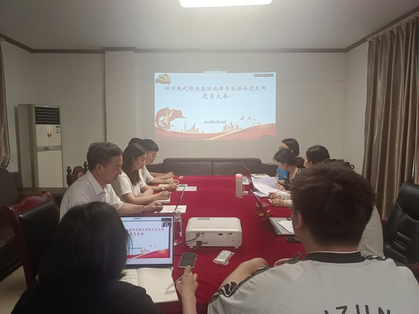 2024年6月28日美彩国际 官网成都片区结合党支部召开党员大会专题进建贯彻省委十二届五次全会心灵.png