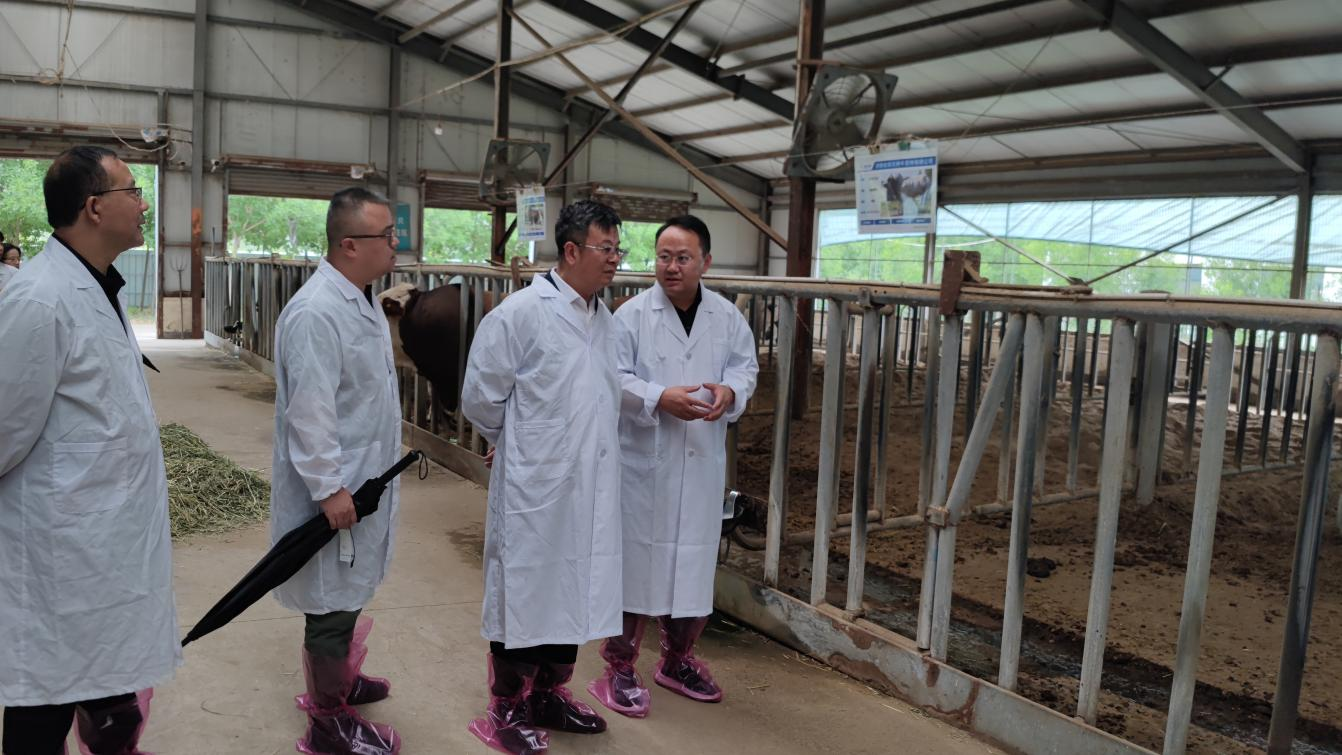 2024年7月2日美彩国际 官网赴河南种业集团调研座谈1（史志玉拍摄）.png