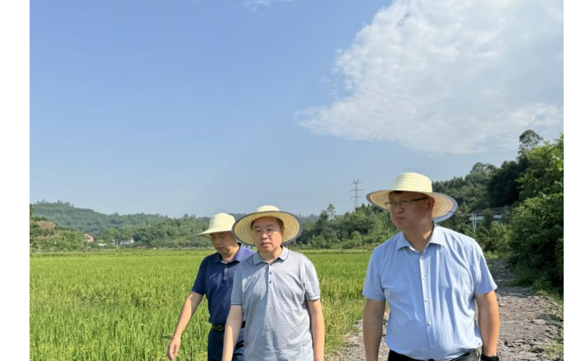 黄幼文到广安市调研农事服务工作