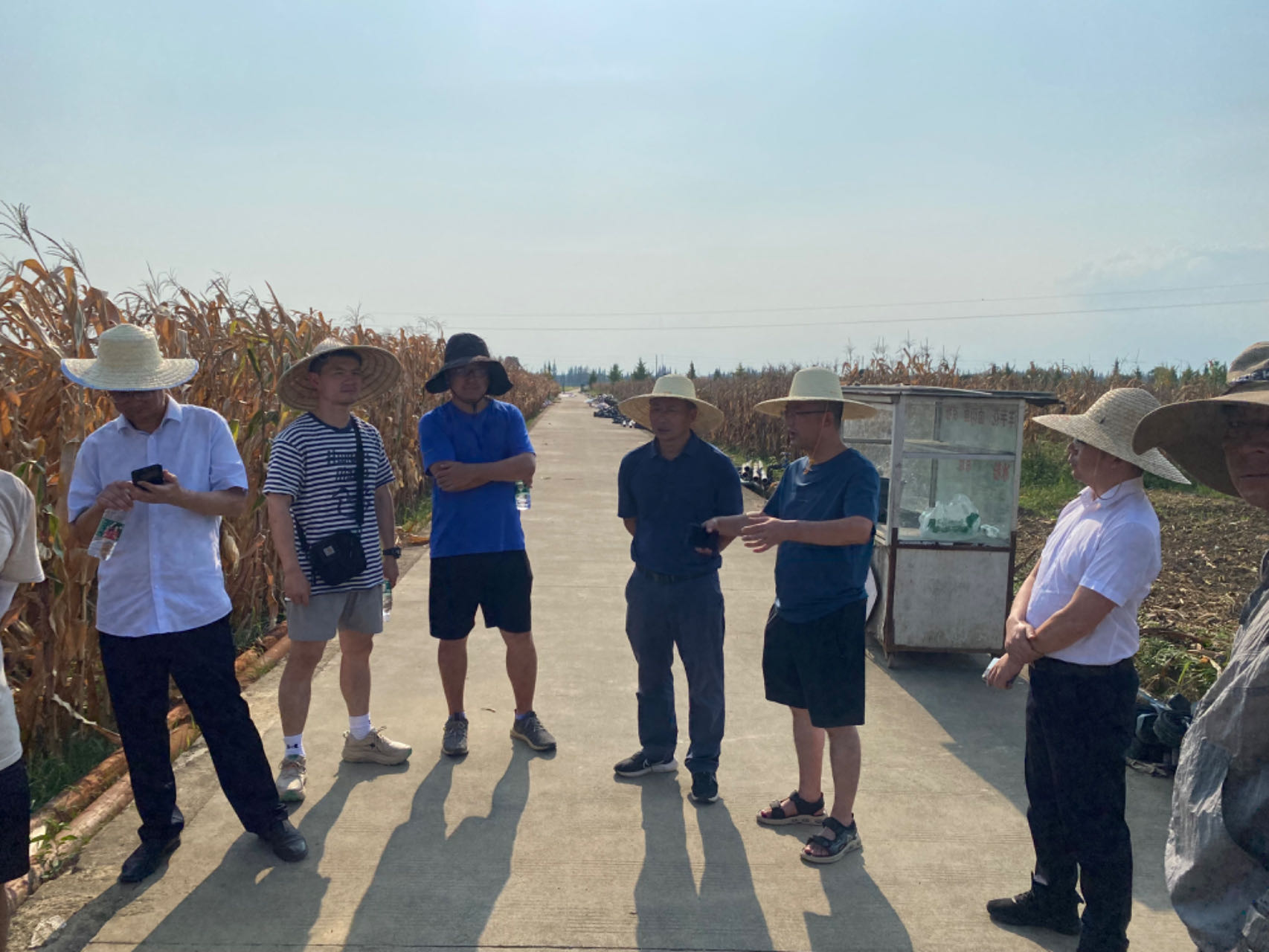 科创中心发展玉米新种类（组合）测试评价活动