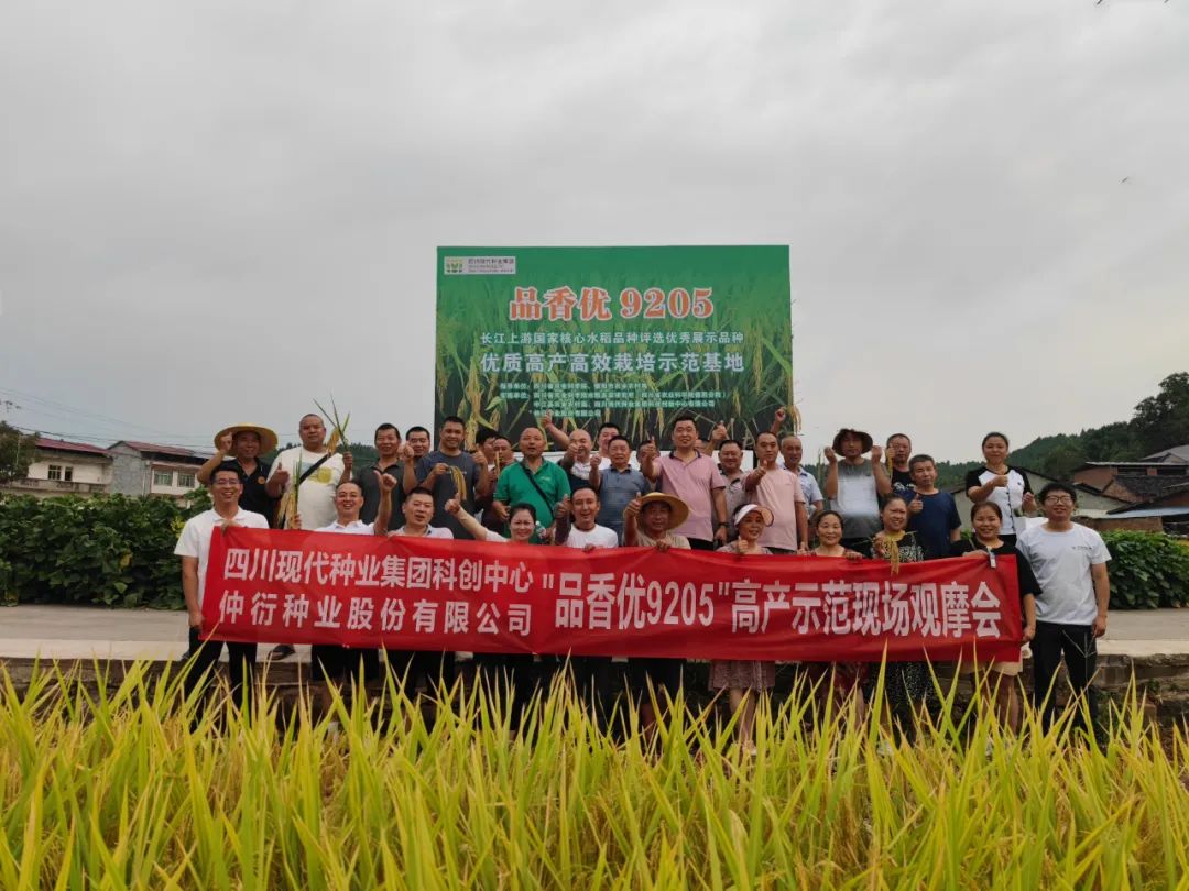 均匀亩产797.7公斤！集团水稻种类“品香优9205”高产示范方实收测产