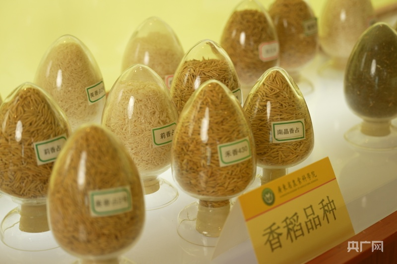 【习声回响】科技赋能强种业 人勤苗壮绘丰登3.png