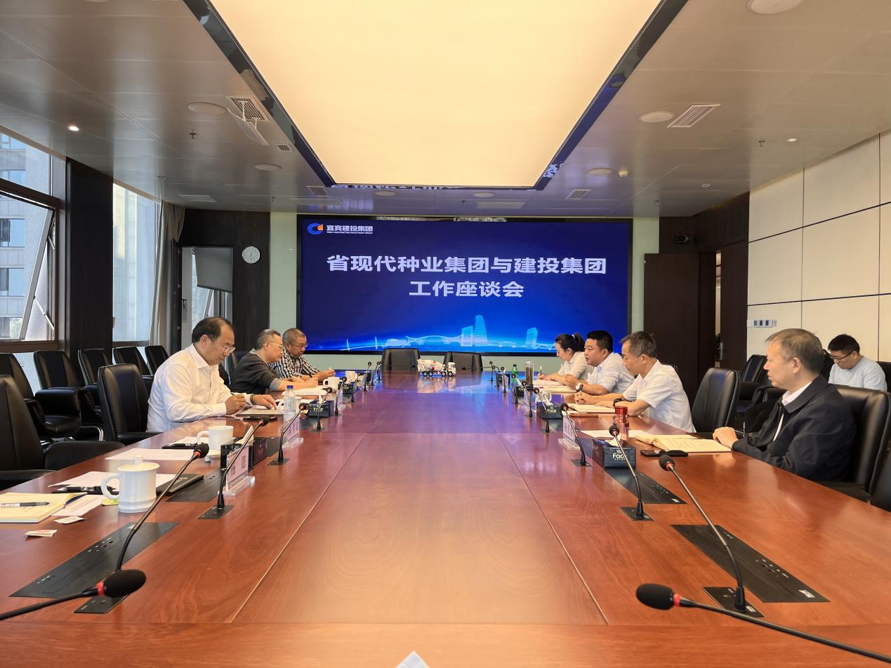 美彩国际 官网到宜宾建投集团调研座谈