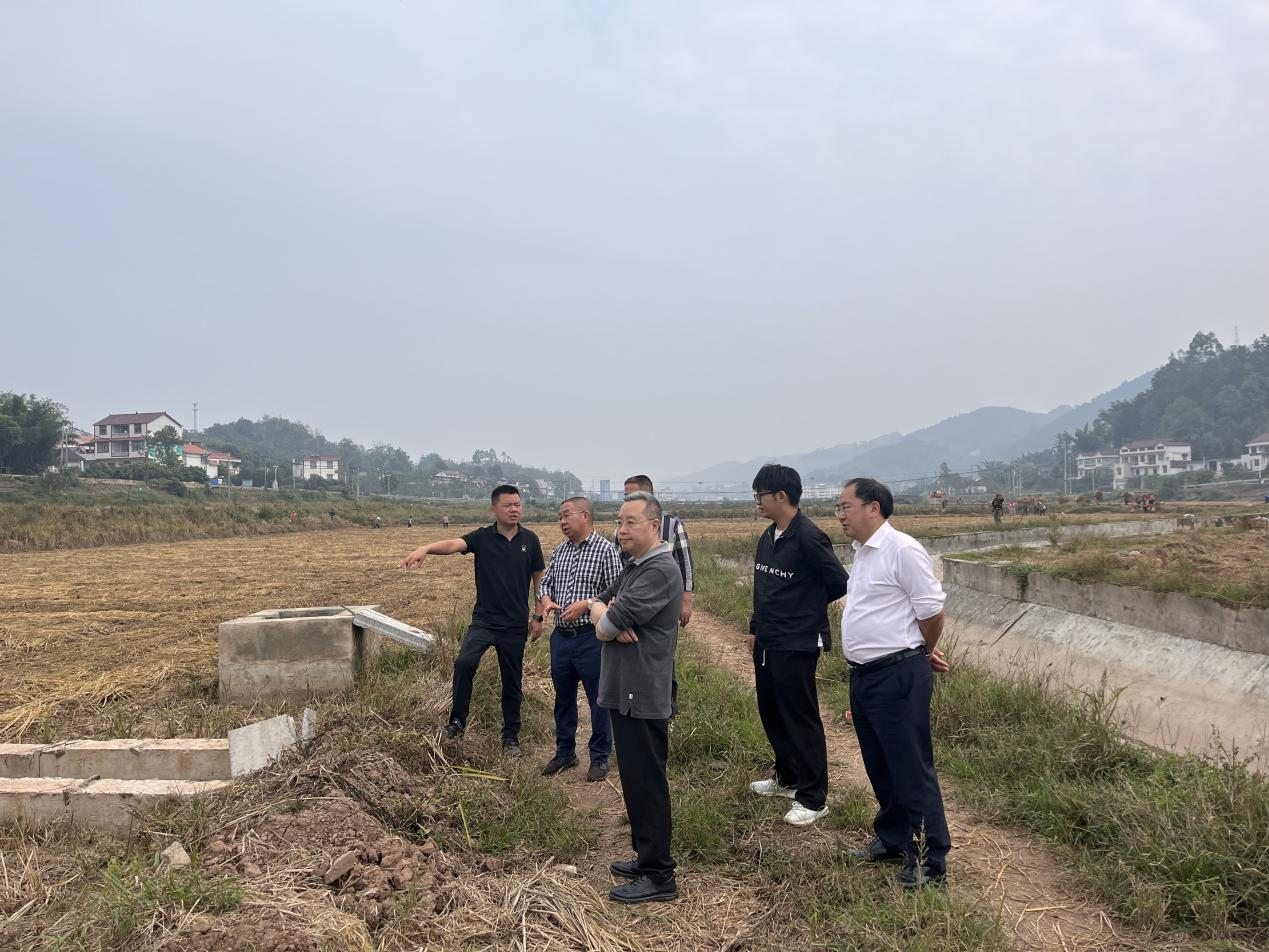 美彩国际 官网到宜宾建投集团调研座谈2.png