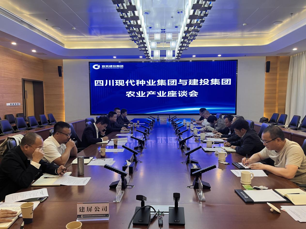 黄幼文带队到宜宾建投集团调研座谈1.png