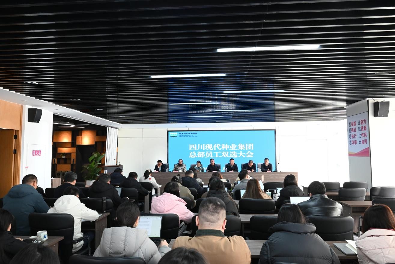 美彩国际 官网召开总部员工工作岗位双选大会