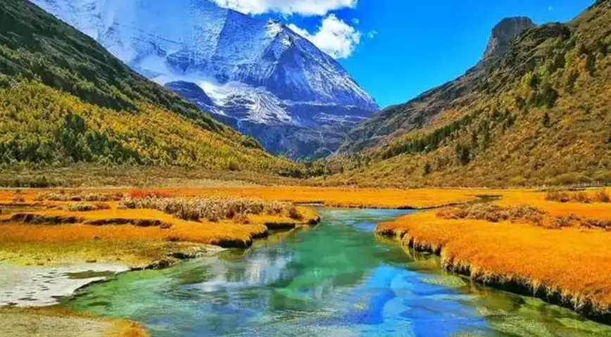 美彩国际 官网专题钻研稻城县托底性助扶工作