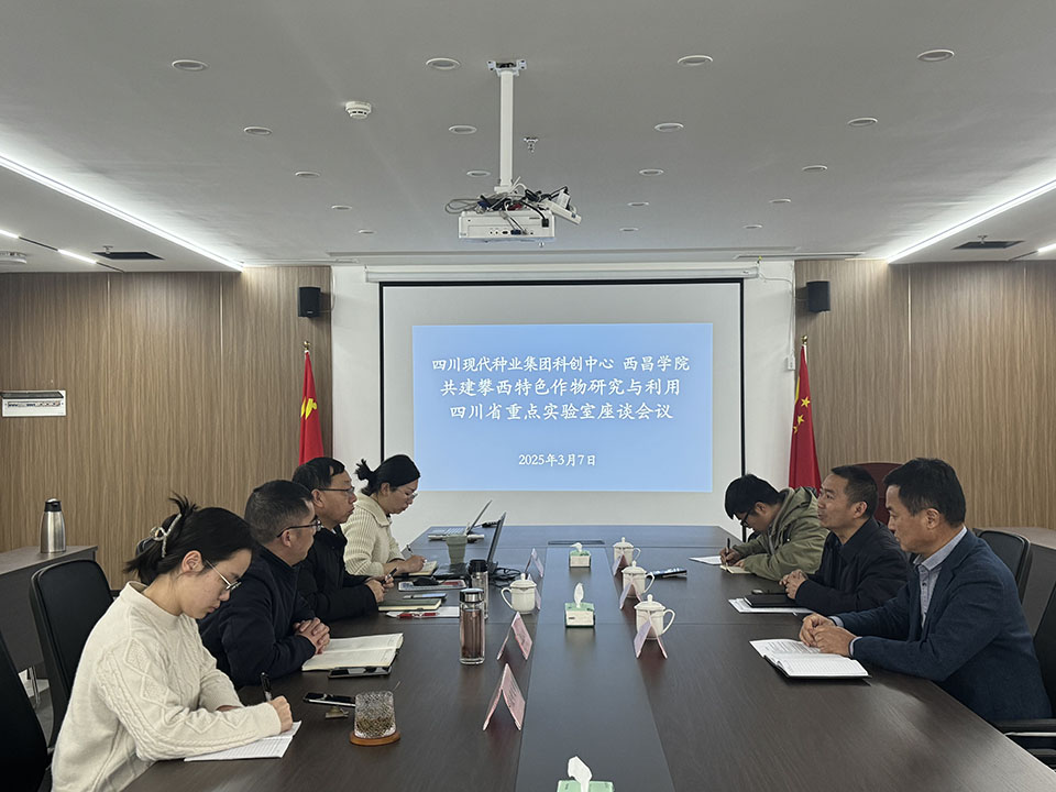 西昌学院任万军副院长带队赴集团科创中心互换座谈