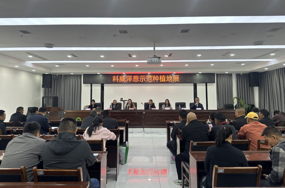 西昌科威洋葱种业公司进行示范种植地展活动