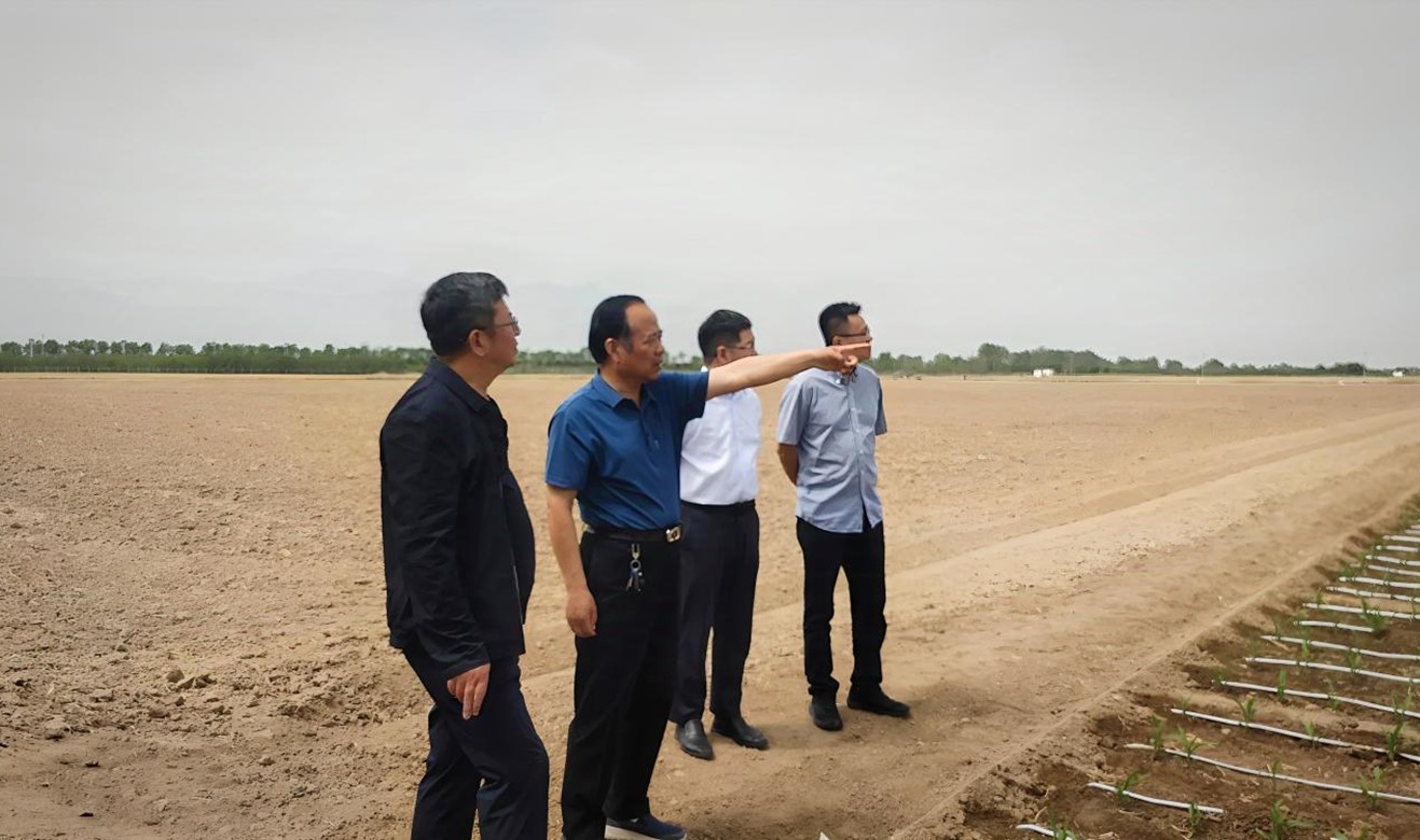 美彩国际 官网赴陕西、河南进建调查