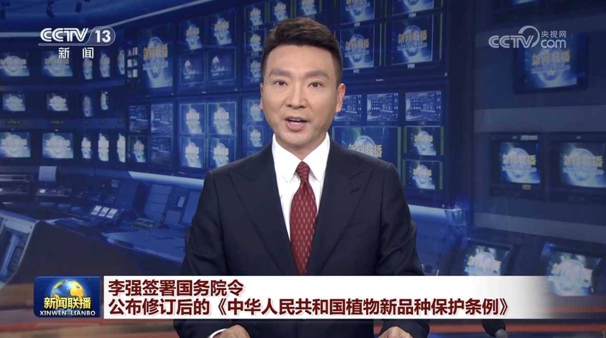 农业村落部：加强植物新种类； 赋能种业创新发展