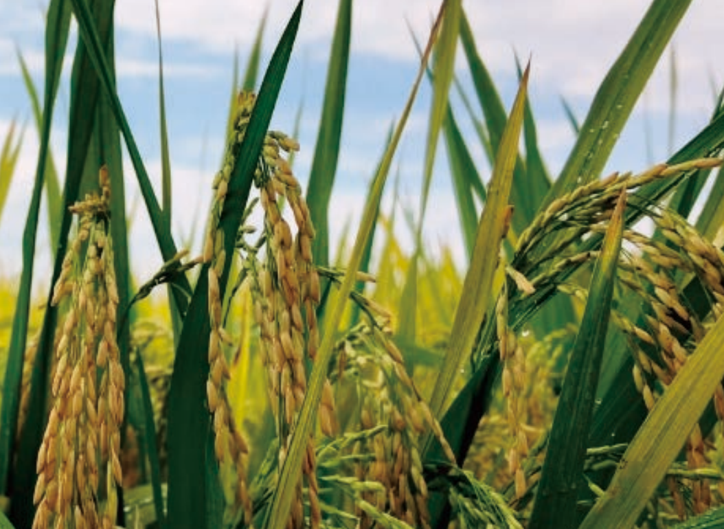 截屏2025-06-05 15.14.55.png