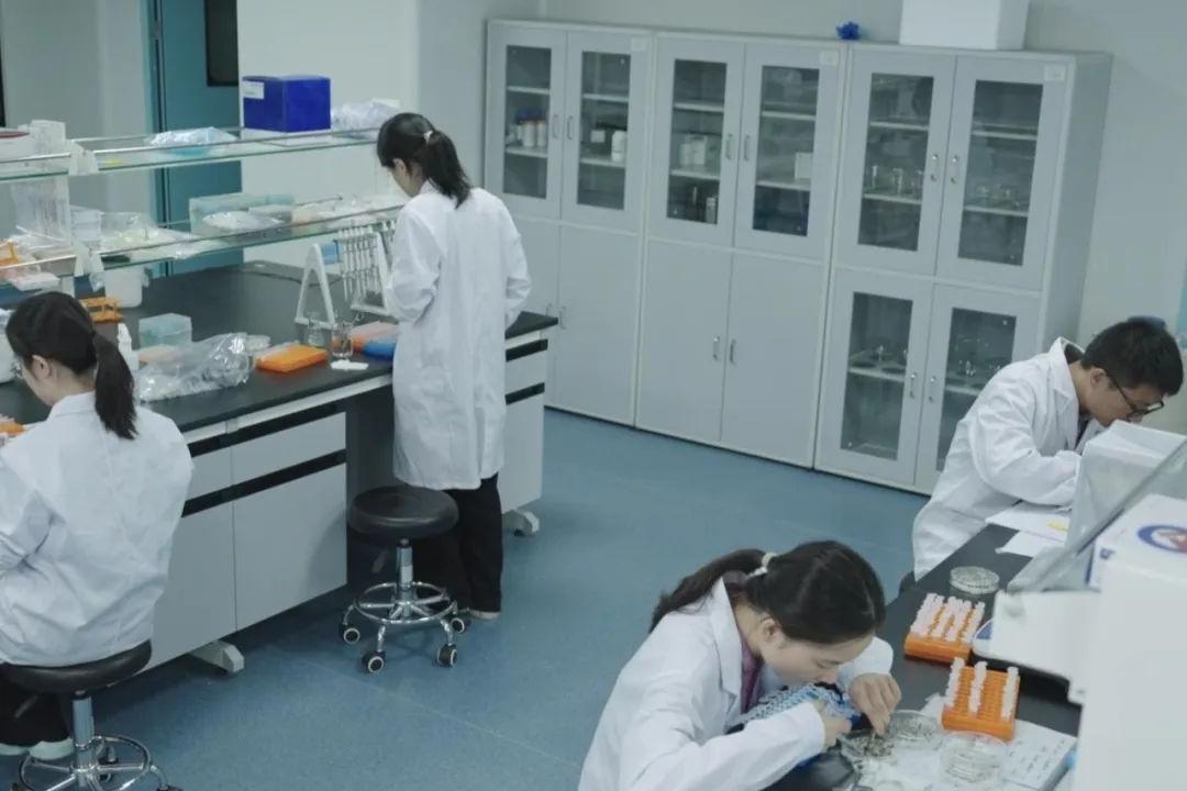 彰显种业科技硬实力！美彩国际 官网结合共建尝试室入选省沉点