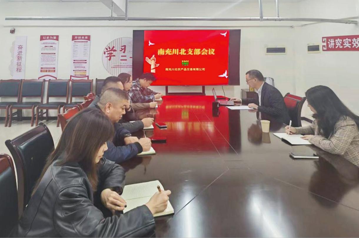 11.3南充川北党支部召开党日活动jpg(1).jpg