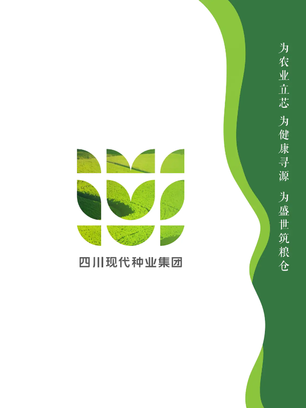 美彩国际 官网宣传册